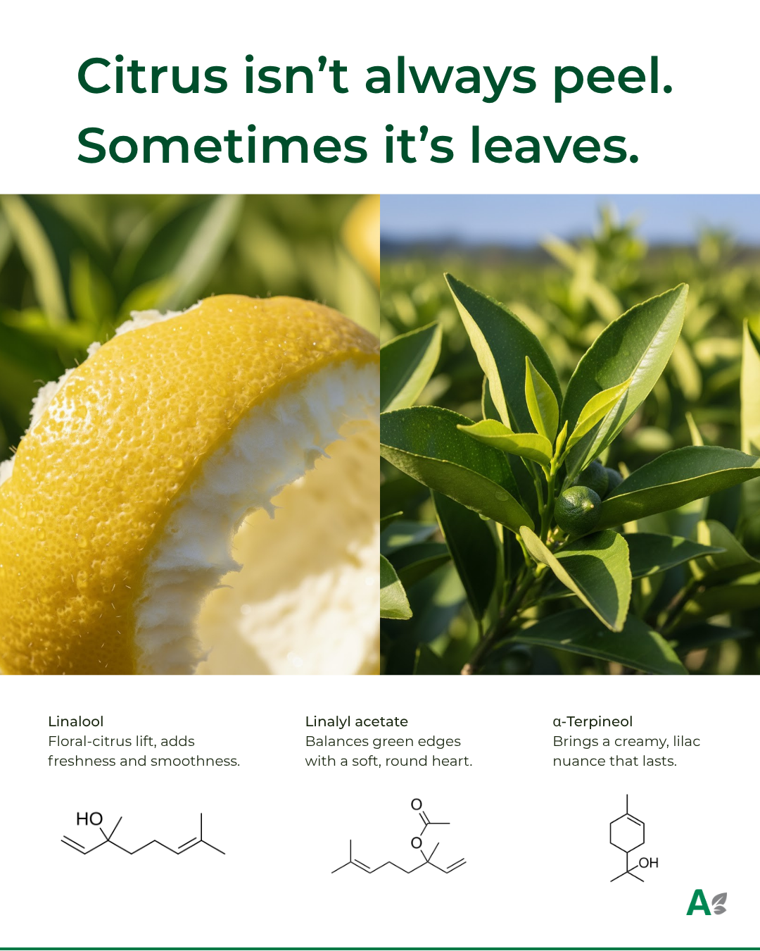 El cítrico no siempre viene de la cáscara