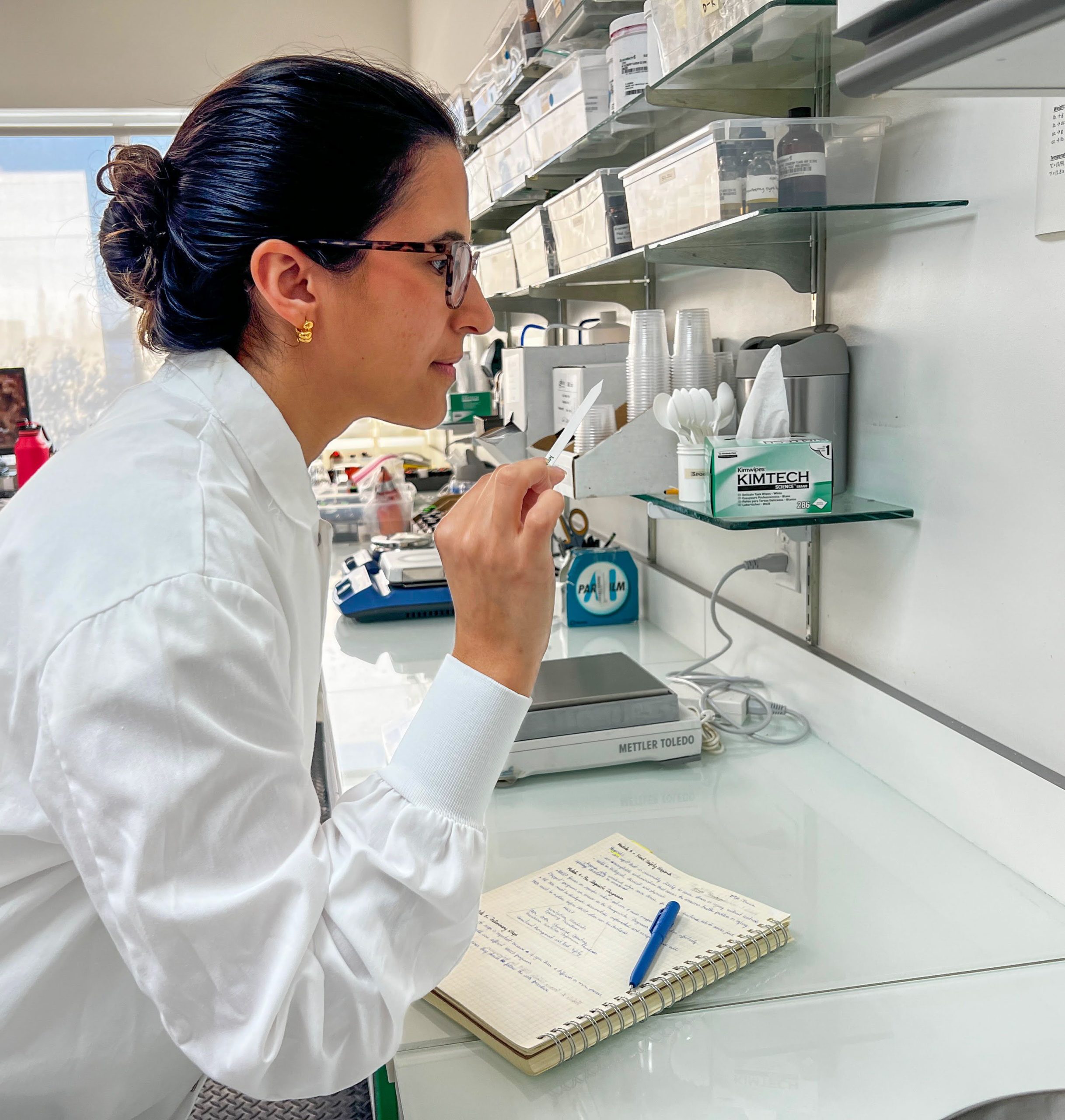 PyR: Garantía de Calidad y Normas de Seguridad Alimentaria con Rebecca