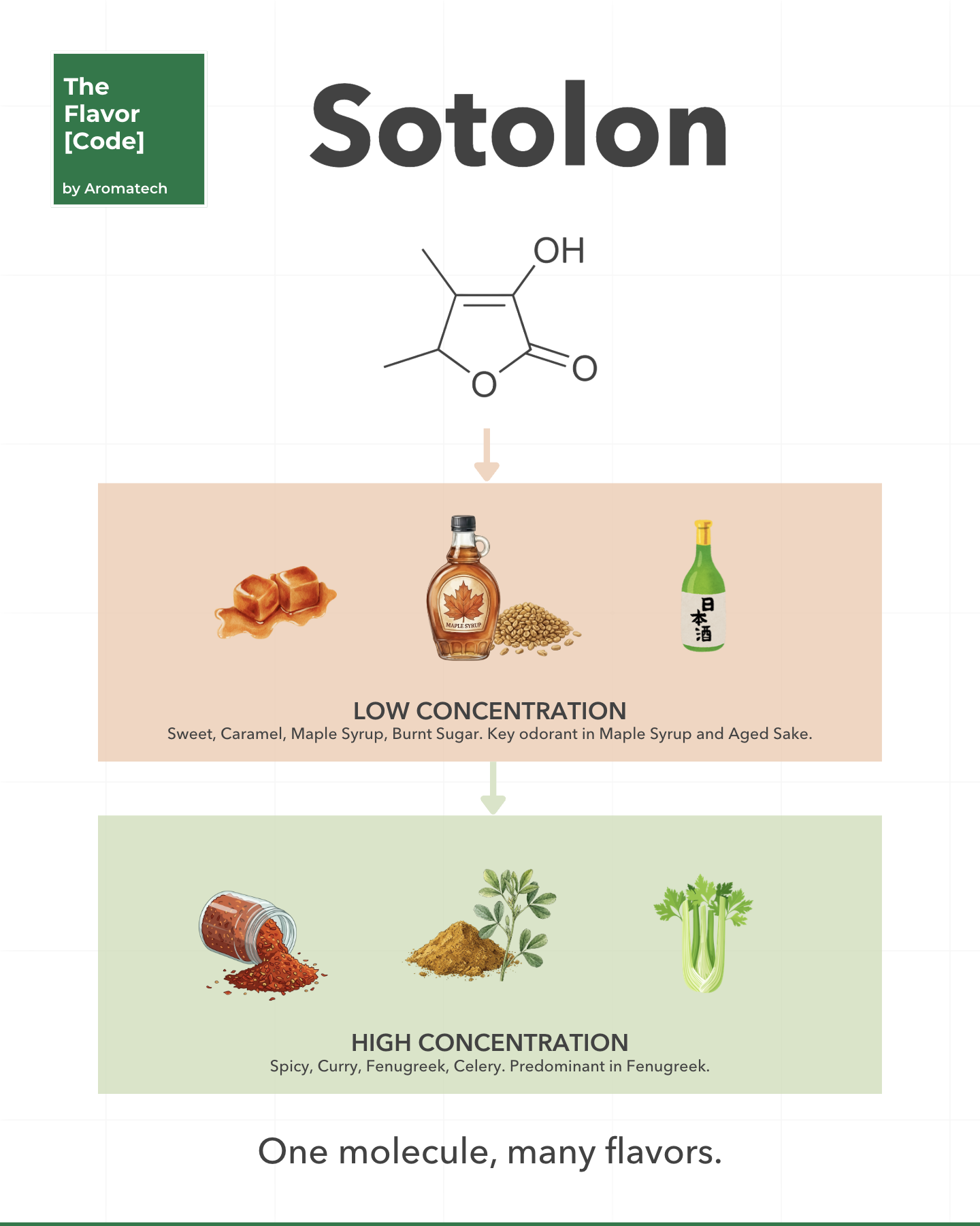 Sotolón en la química de aromas: retos de formulación y límites de estabilidad